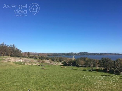 Chacra En Venta Con Costa Laguna Del Sauce - Punta Ballena