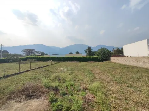 Lote En Venta En Corozal. Cod V29027