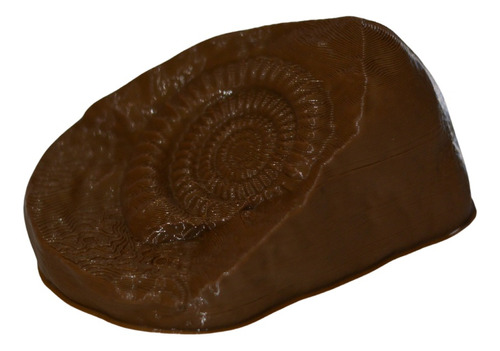 Ammonite Figura Plastica - Arqueologia Antropologia - Deco