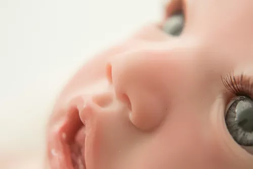 Boneca Bebê Reborn Realista 16 Itens Linda Bolsa Maternidade em