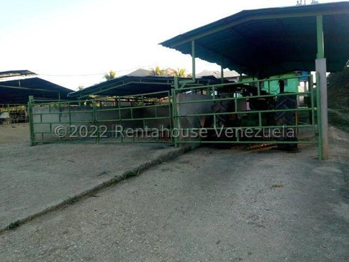 Julio Latouche 25-16896 Finca Ganadera En Venta Carabobo, 267 Hectáreas, Casa Principal De 550 Mts2, Dos Lagunas Para Riego.