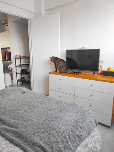 Imagen 11 de 25 de Venta Departamento 2 Amb 54 M2 Colegiales Capital Federal