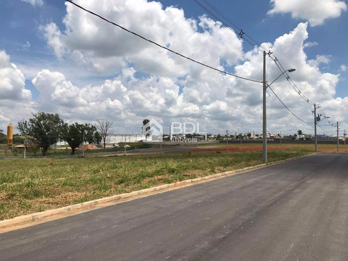 Imagem 4 de 5 de Terreno À Venda Em Jardim Paraíso - Te001630