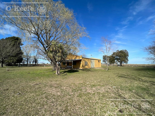Imagen 15 de 28 de Campo En Venta Magdalena 133 Has