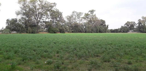 Imagen 2 de 13 de Rancho En Venta En Teoloyucan