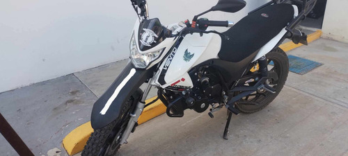 Vento Workman 250 Mod 2023