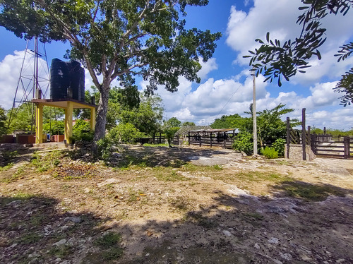 Venta De Rancho En Zona Ganadera De Yucatán, Con Cenotes, 453 Has