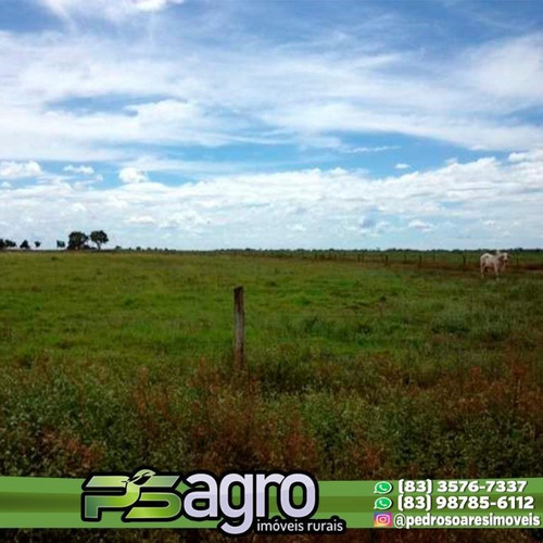 Imagem 8 de 30 de Fazenda À Venda, 430000 M² Por R$ 313.900.000,00 - Centro - Pium/to - Fa0047