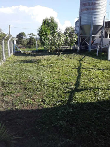Imagem 11 de 14 de Granja Upd Matrizes Suínas, Em Integração Vertical