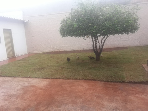 Imagem 4 de 7 de Serviço De Jardinagem E Paisagismo