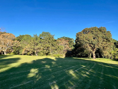Venta Terreno Punta Ballena Vilaverde