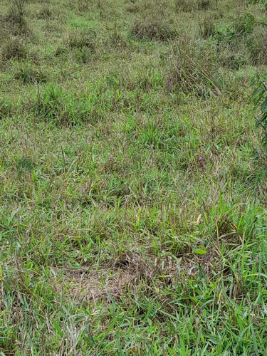 Imagem 2 de 14 de I1807 Lançamento Em Igaratá 1000m² Com Entrada De 15 Mil