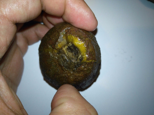 Piedra Cuarzo Nódulo De Ágata Natural De Madagascar #03