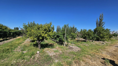 Finca De 3.7 Ha En Producción