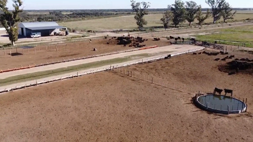 Campo Ganadero En Venta Campo Garay Santa Fe