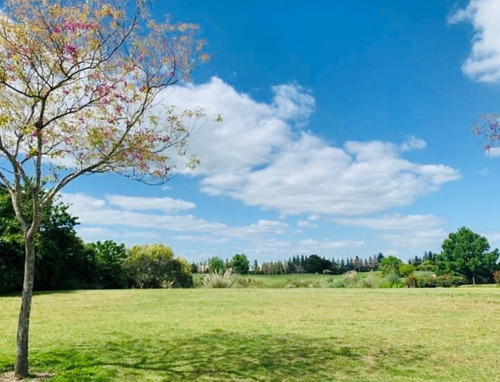 Imagen 4 de 15 de Lote En Venta En El Golf, Nordelta, G.b.a. Zona Norte