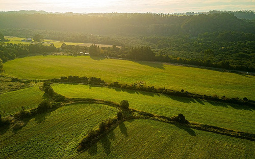 Estero - Bosque - Pradera