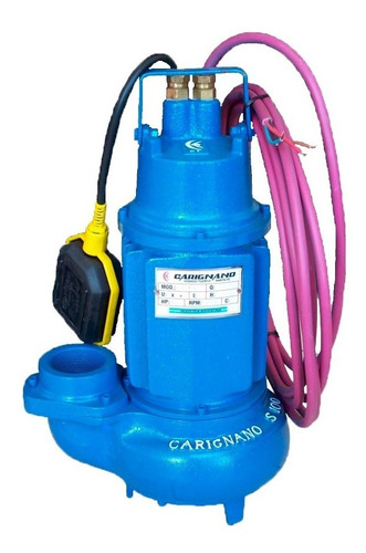 Bomba Sumergible Carignano 1,1 Hp, Vx100 Cloacal/estercolera