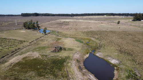 Venta De Chacra En Paraje Soca, Canelones Ie2 - 1691 (ref: Iea-1691)
