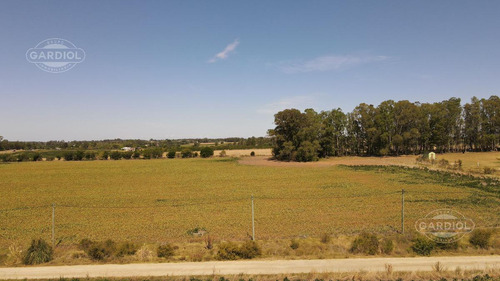 Venta De Terreno De 1 Hectárea. Colonia Del Sacramento.