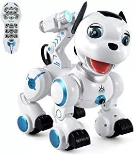 Interactivo Rcn Robot Teledirigido Para Niños Para Cantar 