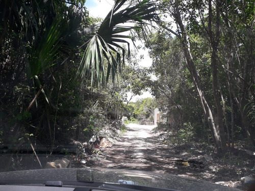 Terreno A Una Cuadra De Av. Huayacan