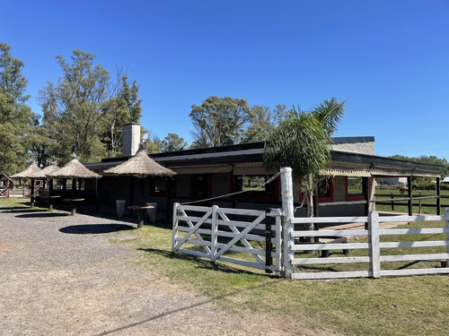 Imagen 2 de 21 de Venta Ideal Inversores (local Gastronimico-caballerizas) - La Reja Sur