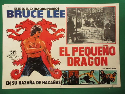 Bruce Lee El Pequeño Dragon Cartel De Cine 8