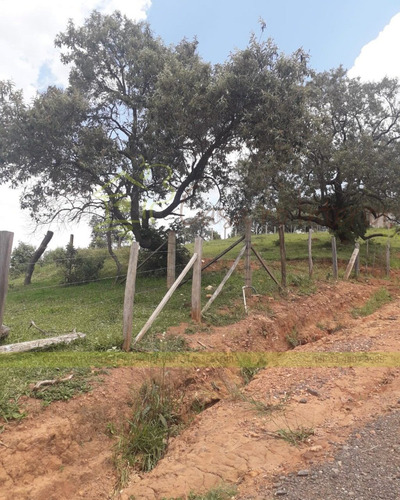 Imagem 2 de 4 de Terreno - Te00081 - 70623881