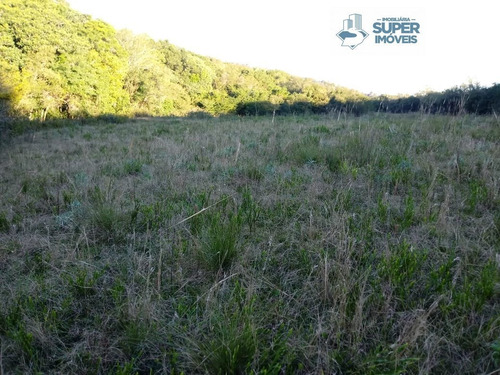 Imagem 4 de 13 de Chácara A Venda No Bairro Cascata Em Pelotas - Rs. - 1343-1