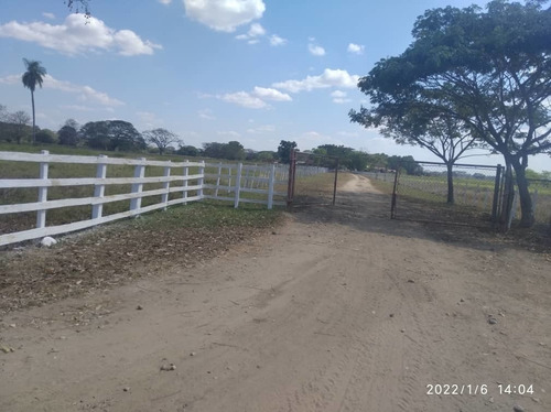 Imagen 23 de 24 de Finca En Barinas A Orilla De La Carretera