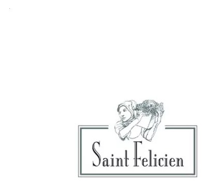 Vino Saint Felicien Malbec 750ml X6 Unidades -
