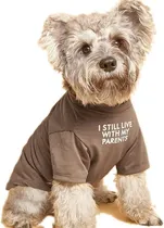Comprar Ropa De Perro Lindo, Perro Remera Para Perros Medianos ...