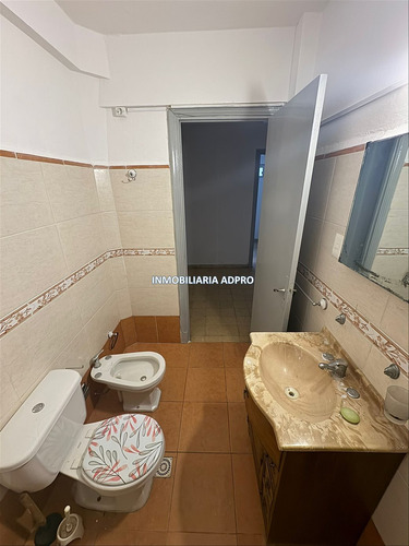 Alquiler Apto 1 Dormitorio En Centro