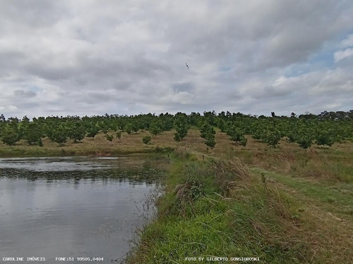 Imagem 15 de 15 de Sítio / Chácara Para Venda Em General Câmara, -, 2 Dormitórios, 2 Banheiros, 2 Vagas - 10010_1-2229460