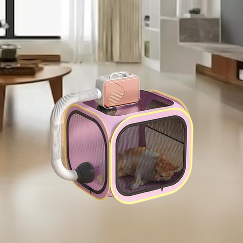 Secador De Pelo Para Perros Y Gatos, Habitación Limpia Y De