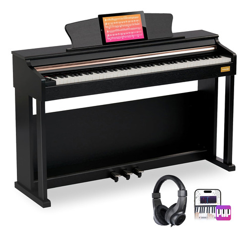 Piano Digital 88 Teclas Acción Martillo Peso Completo Paquet