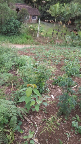 Imagem 26 de 30 de Chácara Rural A Venda Em Ilhota/sc - 1684c