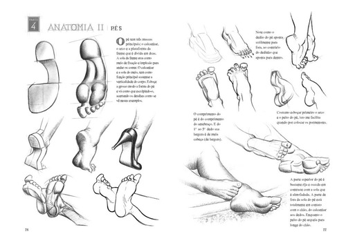 Desenhando Anatomia 4 Volumes