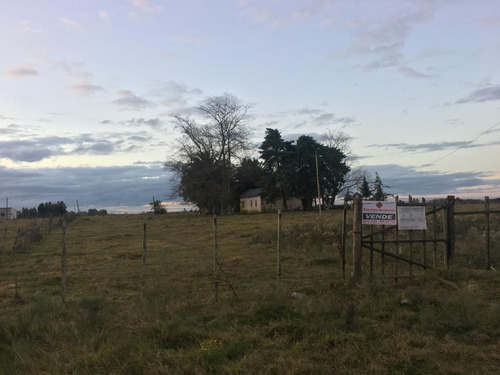 Imagen 3 de 6 de Oportunidad Inversores 3 Hás Dentro De Tala En Av. Principal