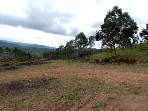 Imagem 2 de 3 de Terrenos/lotes Localizados Em Mairiporã