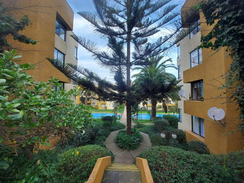 Depto En Centro De Reñaca, A 4 Cdas. De La Playa, Amoblado