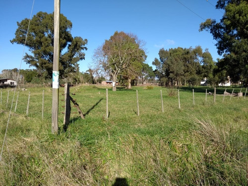 Imagen 8 de 10 de Lote De 50 X 58 En El Casal A Una Cuadra De La Ruta 2