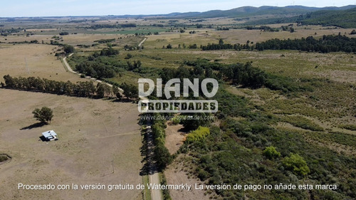 Imagen 9 de 20 de Chacra Aguas Blancas - Sierras Oportunidad