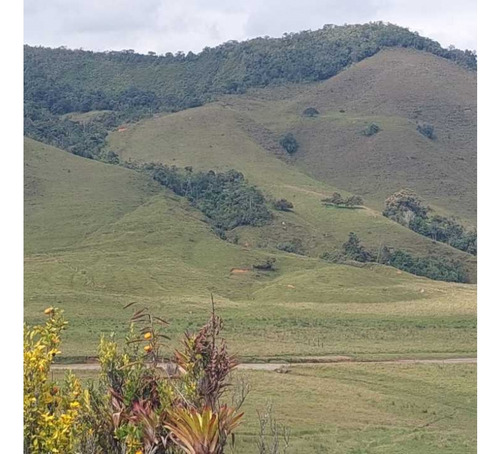 Finca Agroindustrial En Venta, Urrao