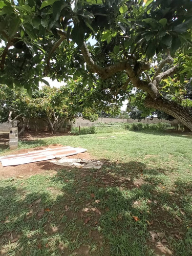 Imagen 25 de 25 de Finca Tinaquillo Terreno Multipropósito En Tinaquillo- Aguirre. Estado Cojedes. T26
