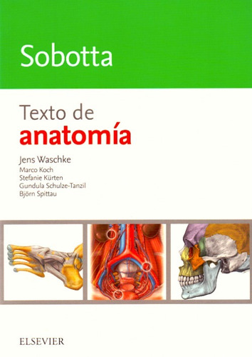 Sobotta Texto De Anatomía ¡ !