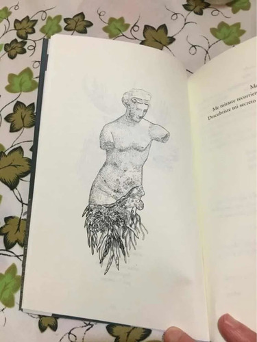 Imagen 3 de 3 de Libro Sumergida Sofía Ciravegna Viajera Editorial