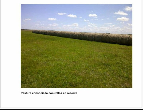 Imagen 3 de 3 de Campo Gral Madariaga