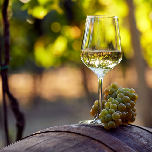 Imagen 4 de 10 de Vino Fin Del Mundo Reserva Chardonnay Caja X 6 X 750ml.